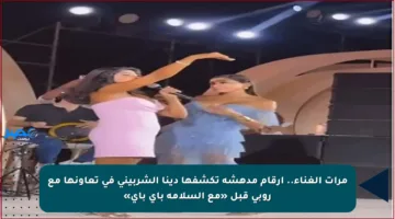 مرات الغناء.. أرقام مدهشة تكشفها دينا الشربيني في تعاونها مع روبي قبل «مع السلامة باي باي»